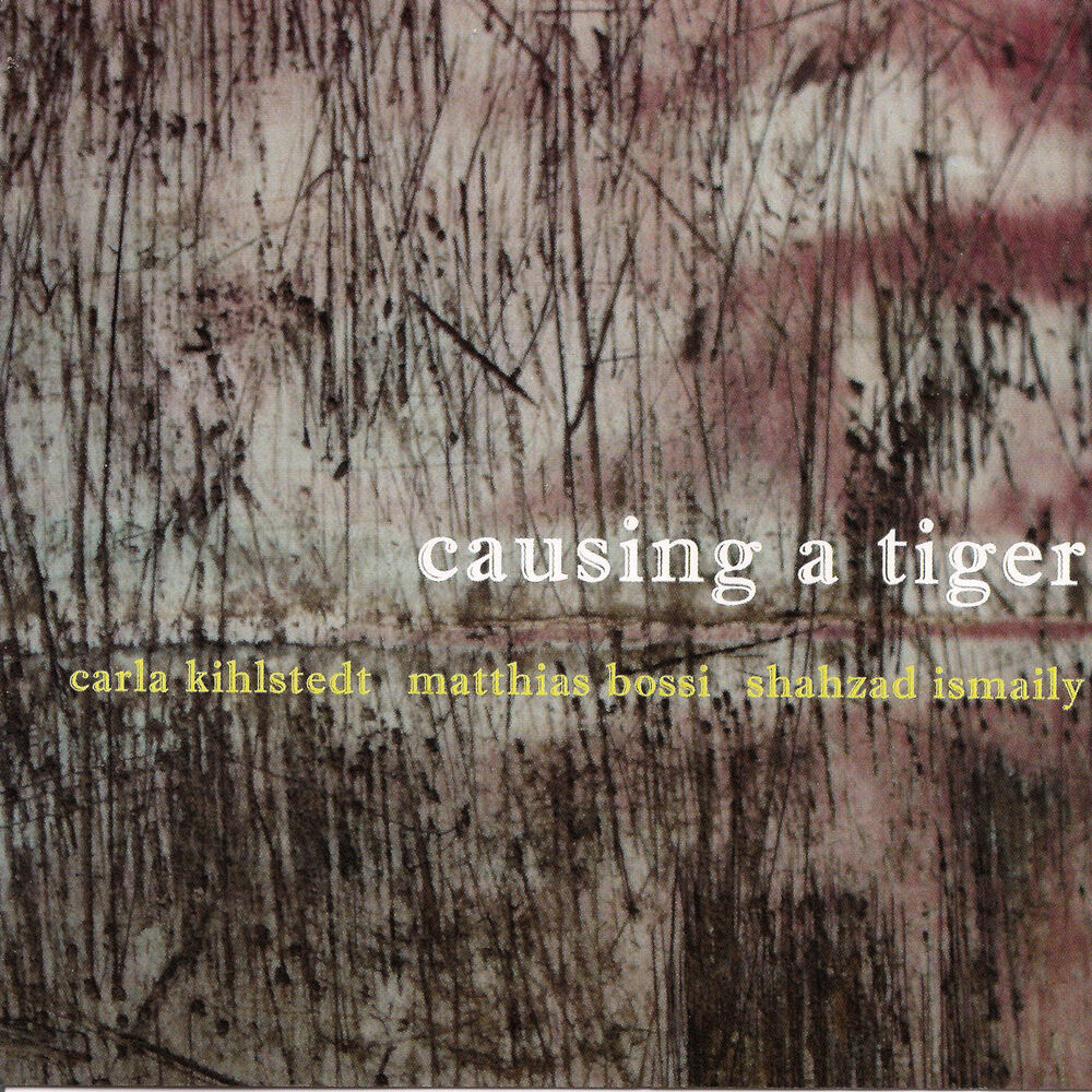 Picture of Causing a Tiger
