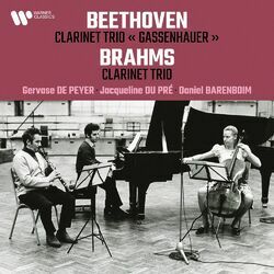 Cover of Beethoven: Clarinet Trio, Op. 11 "Gassenhauer" - Brahms: Clarinet Trio, Op. 114