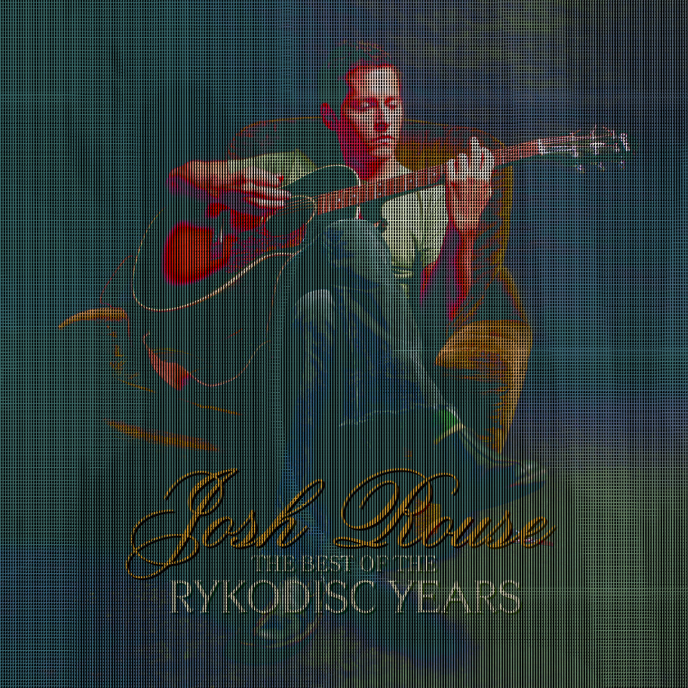 Picture of The Best Of The Rykodisc Years