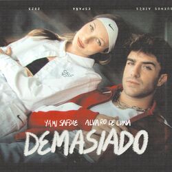 Cover of Demasiado