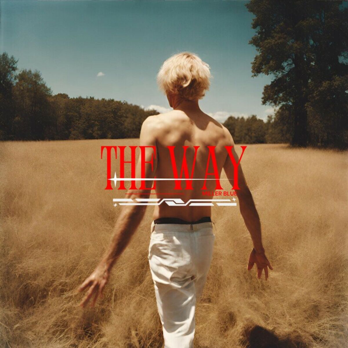 Album cover of The Way