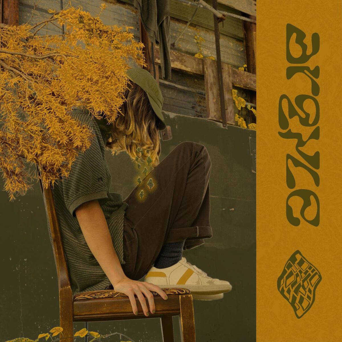 Album cover of argyle