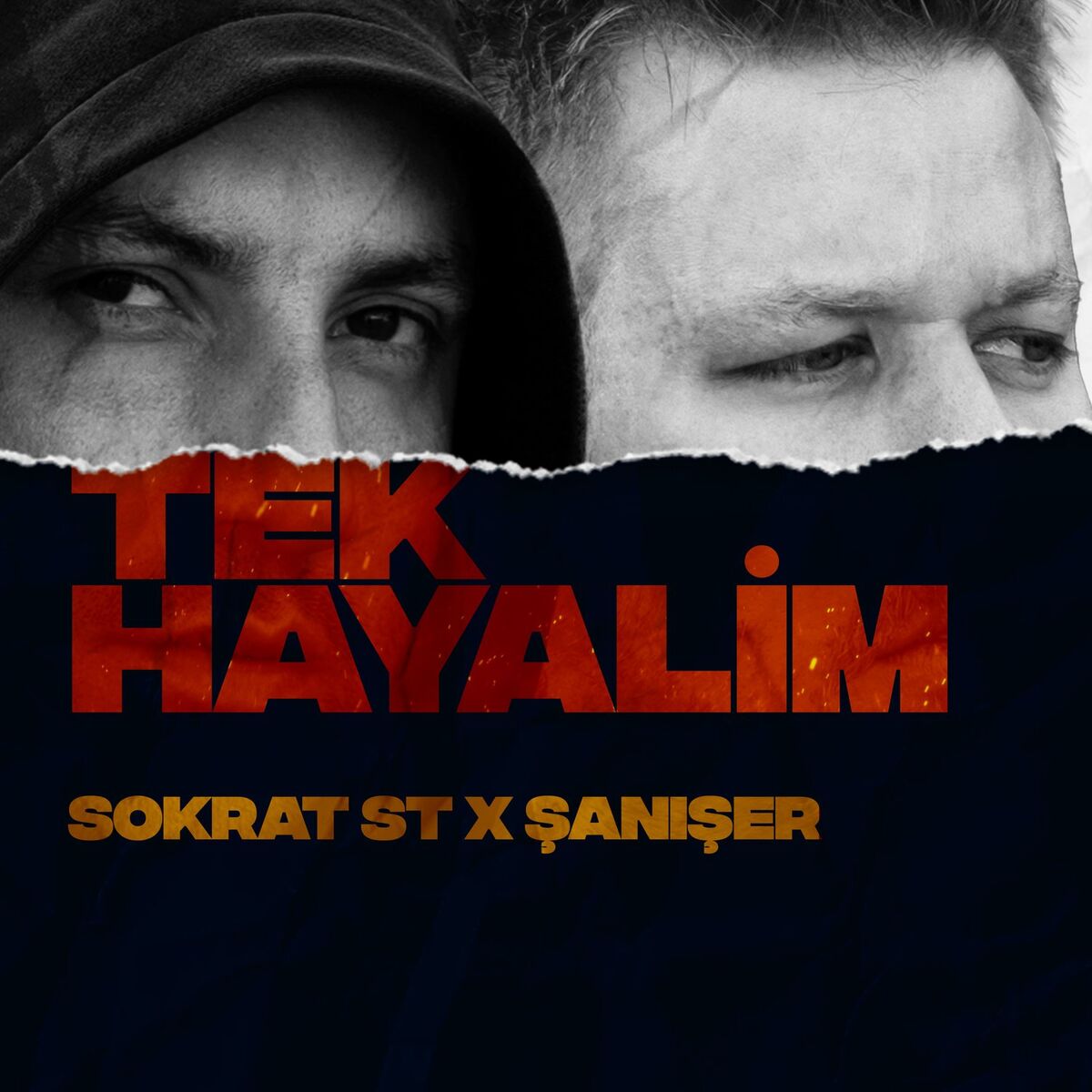 Album cover of Tek Hayalim