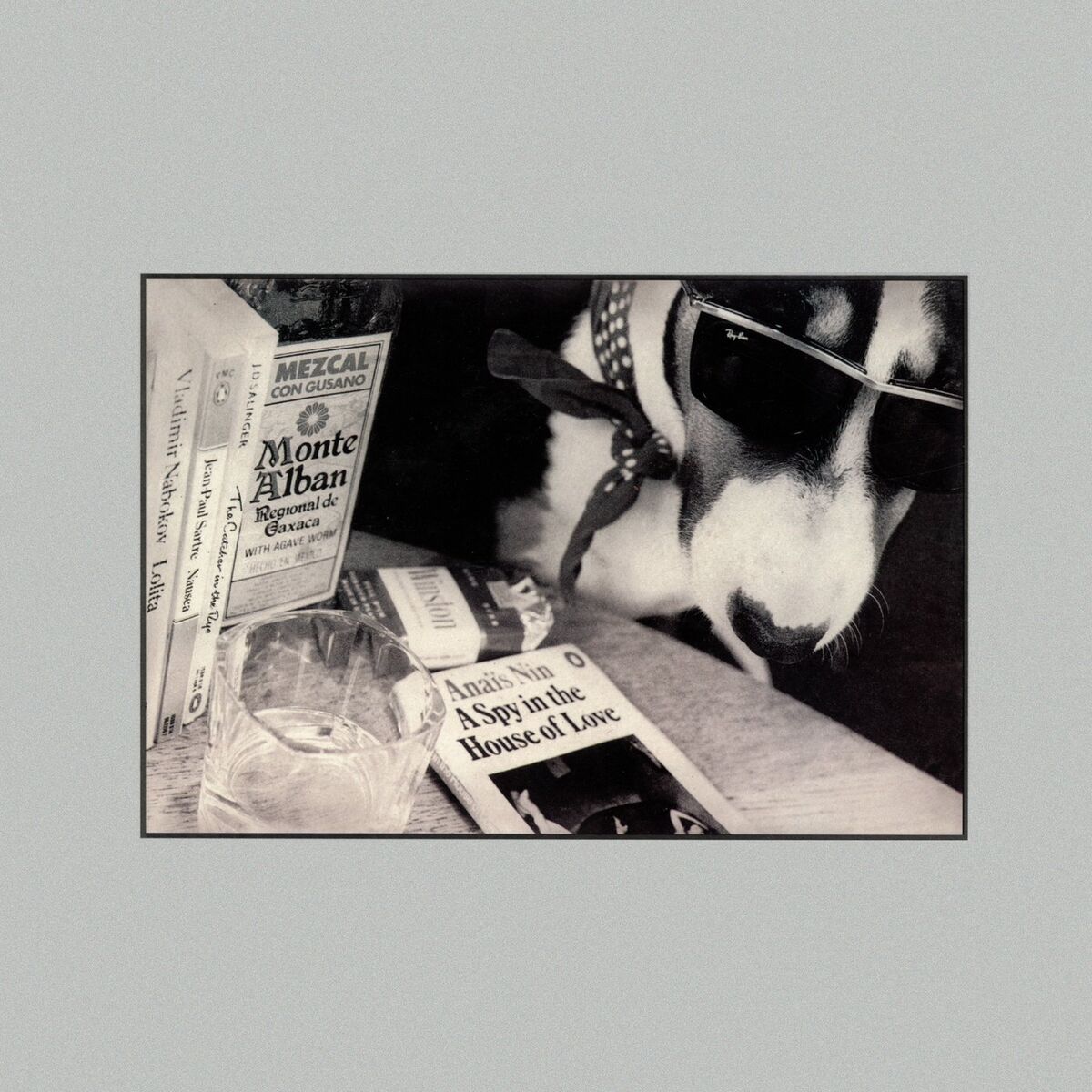 Album cover of A Spy In The House Of Love