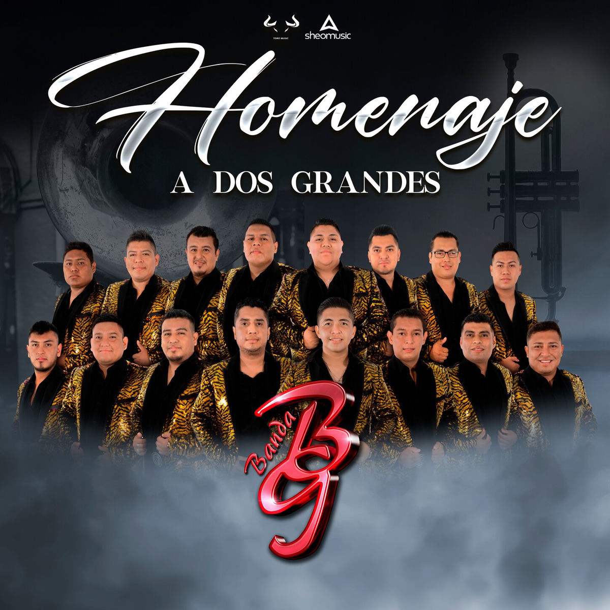Album cover of Homenaje A Dos Grandes