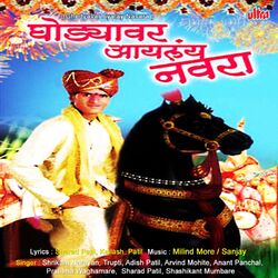 Cover of Ghodyavar Ayalay Navara
