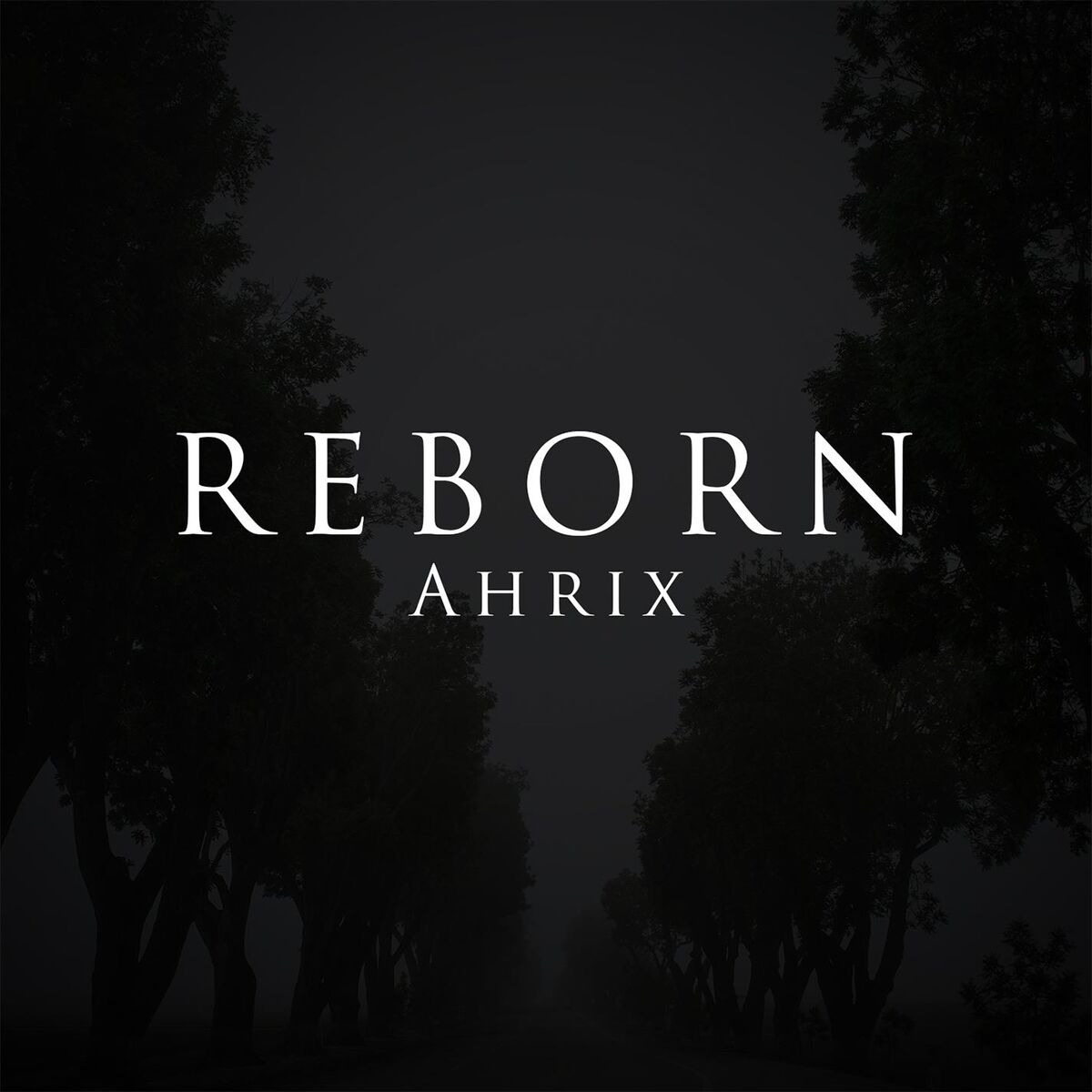 Album cover of Reborn