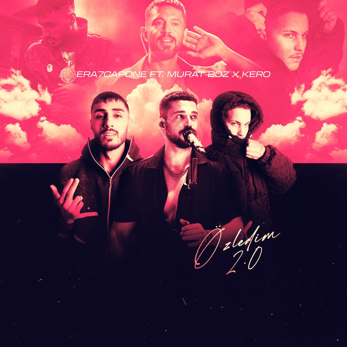 Album cover of ÖZLEDİM 2.0