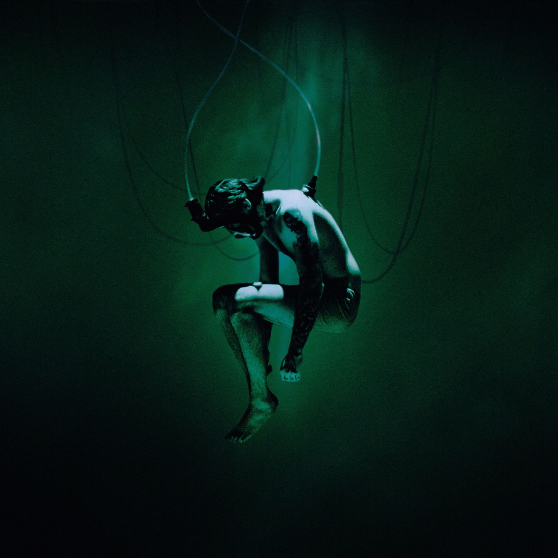 Album cover of Dead Forever
