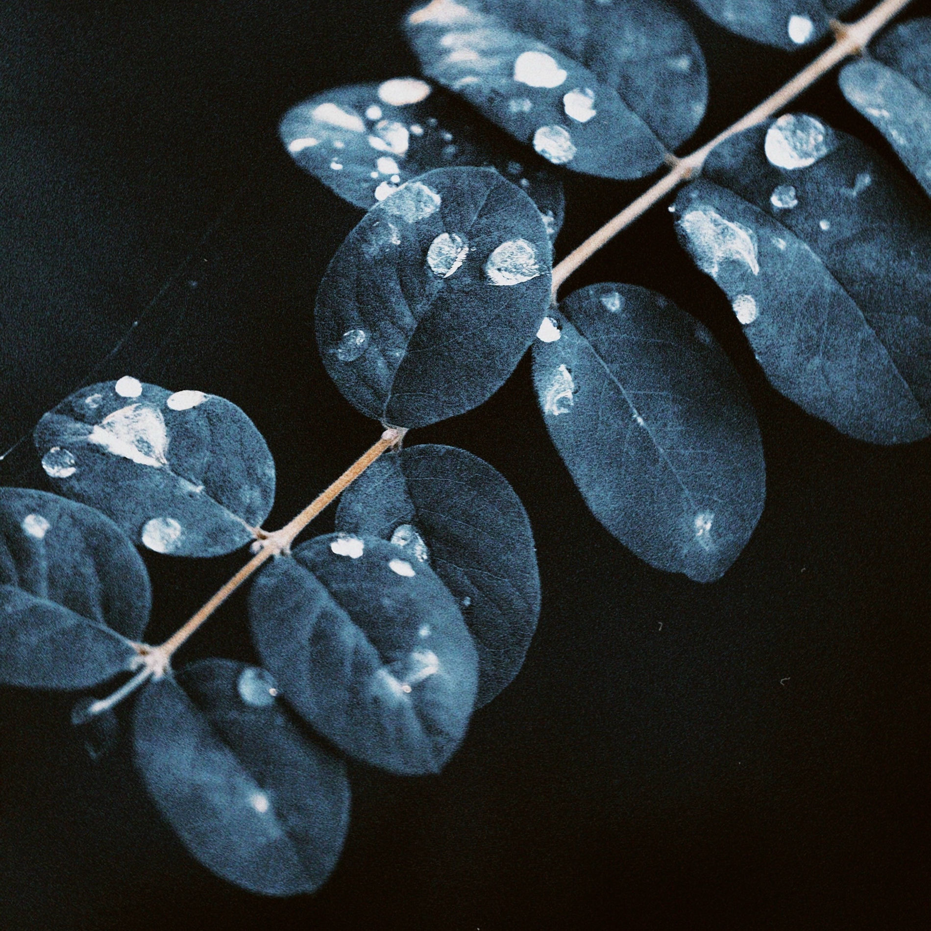 Album cover of When It Rains