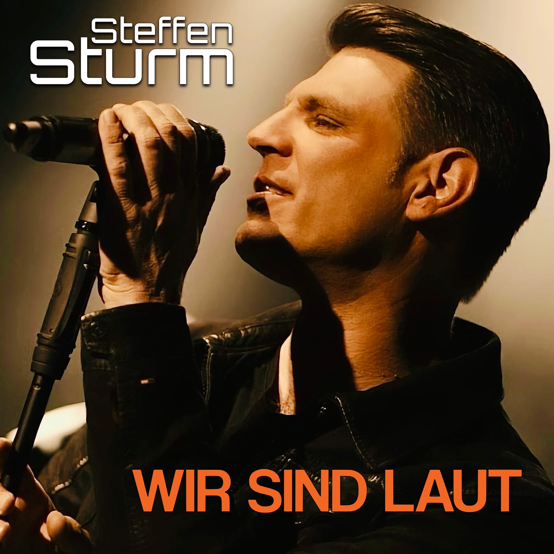 Album cover of Wir sind laut