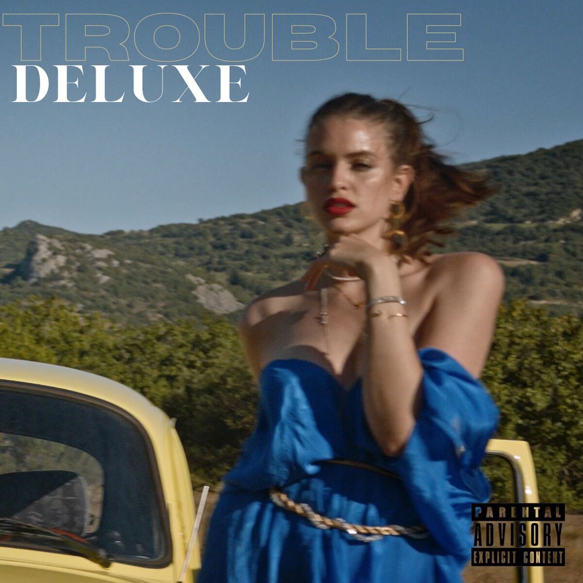 Album cover of Trouble Deluxe