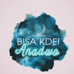Cover of Anadwo