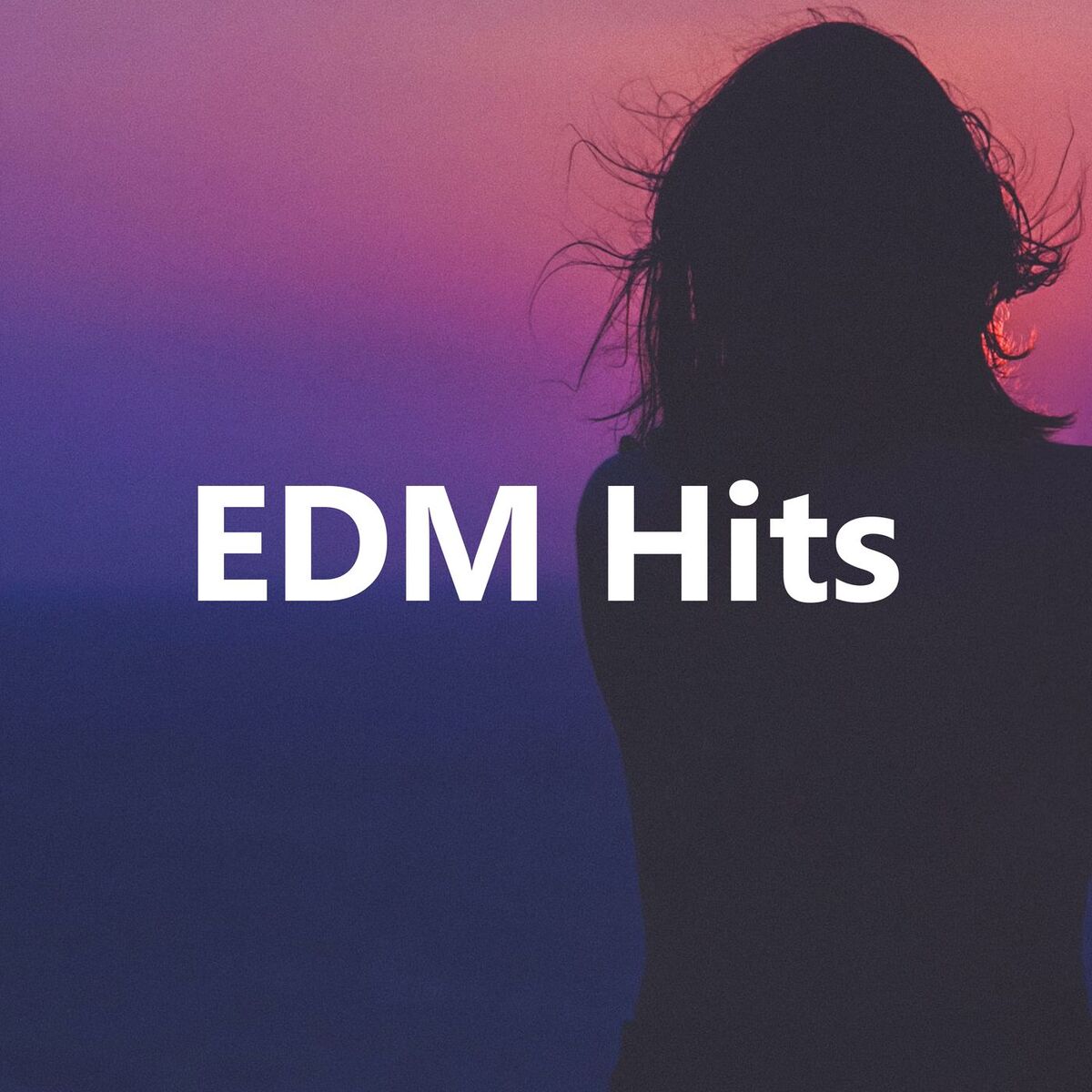Album cover of EDM HITS