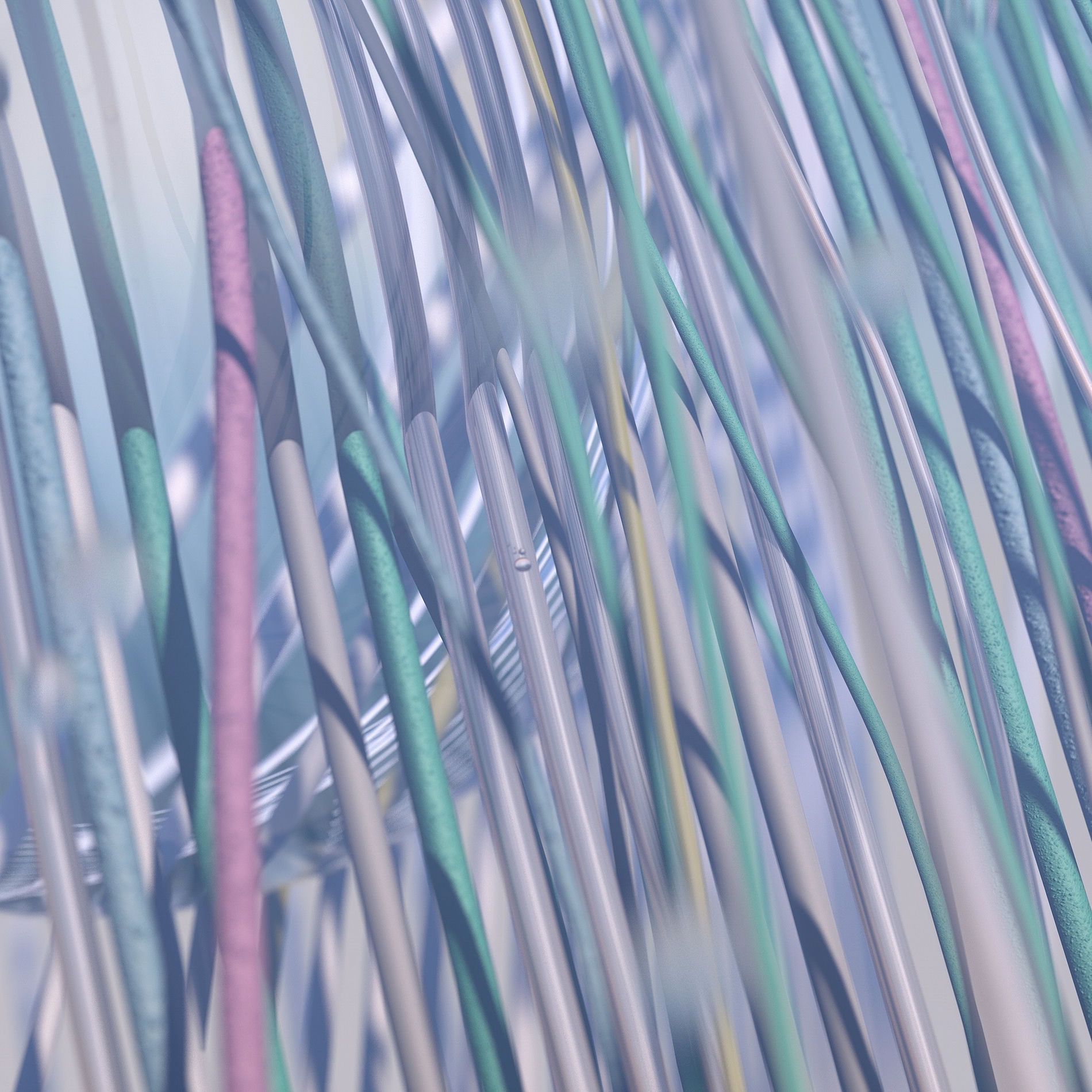 Album cover of Digital Rainforest