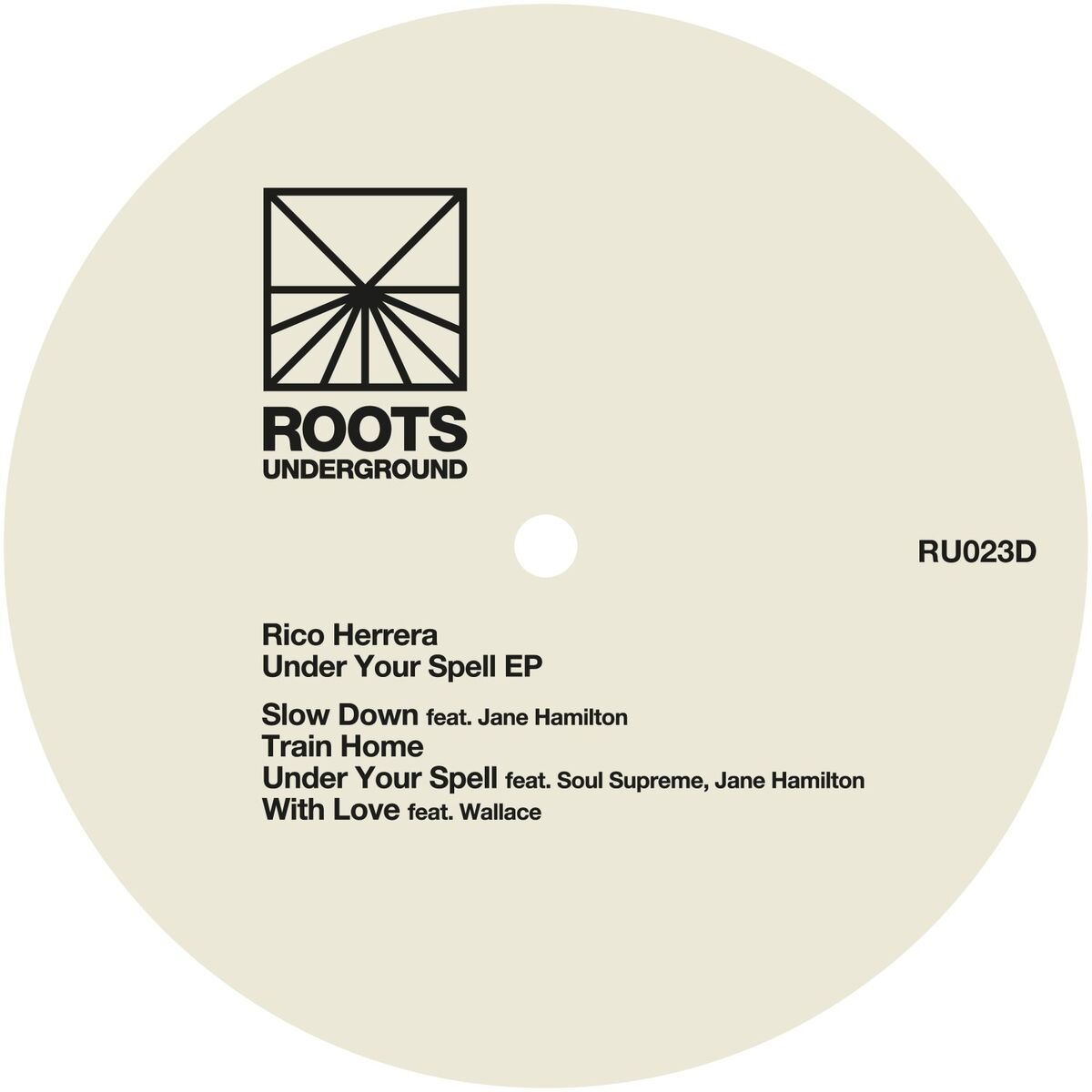 Album cover of Under Your Spell
