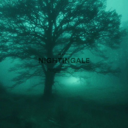 nightingale - sped up by c152 - 116 BPM