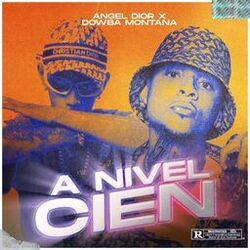 Cover of A Nivel Cien