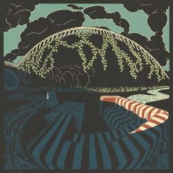 Cover of Fungo