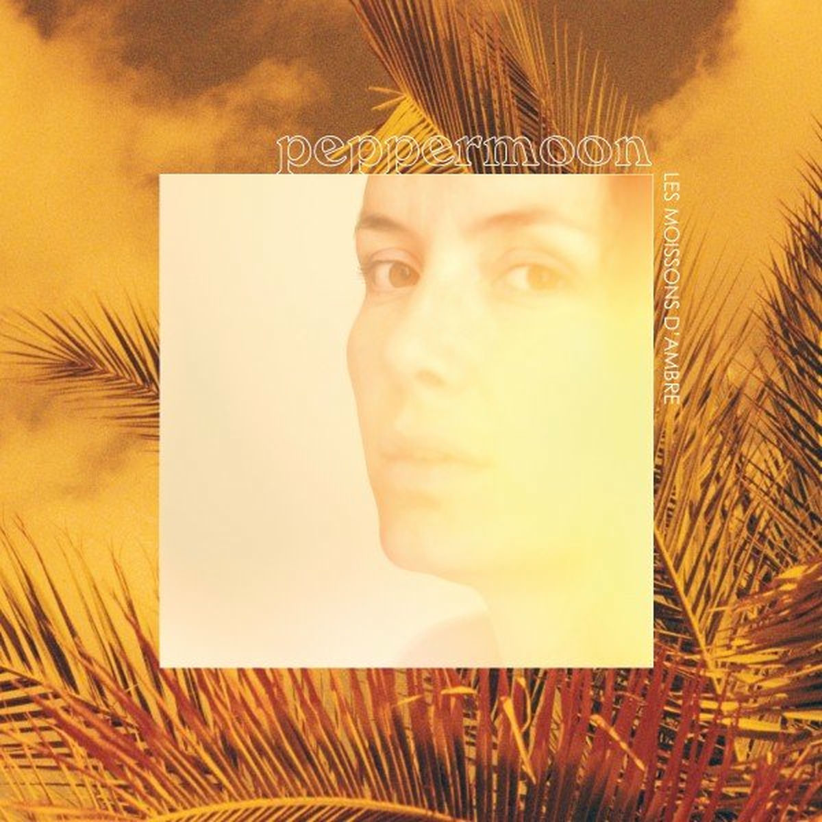 Album cover of Larme de lune