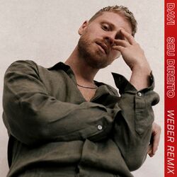 Cover of Seu Direito (Weber Remix)