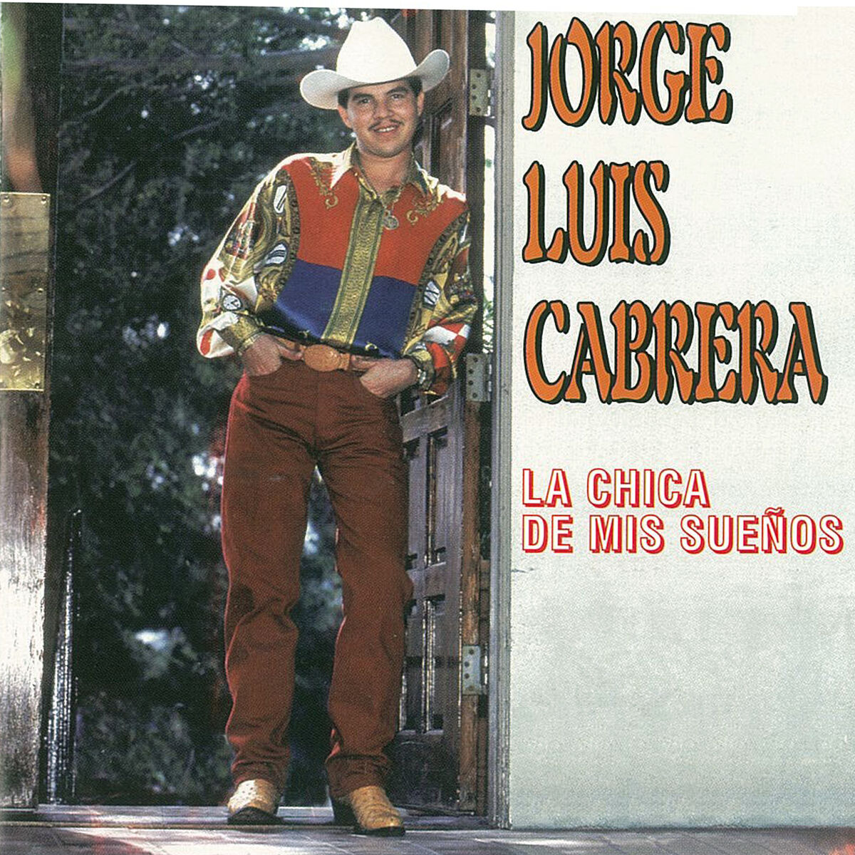 Album cover of La Chica de Mi Sueños