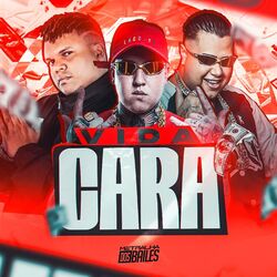 Vida Cara