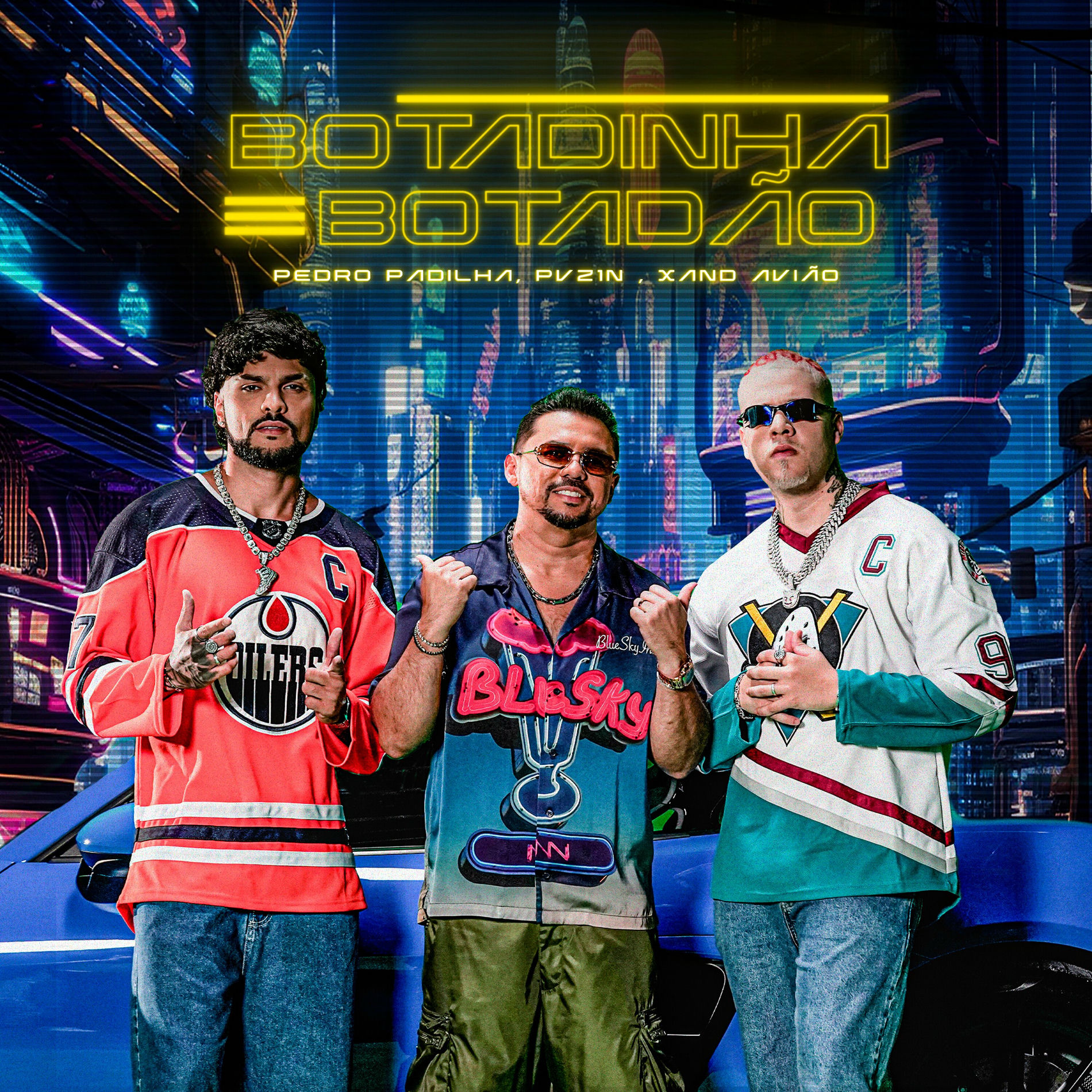 Album cover of Botadinha Botadão