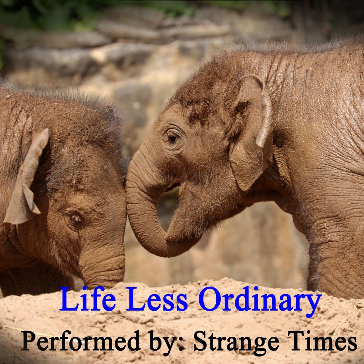 Album cover of Life Less Ordinary