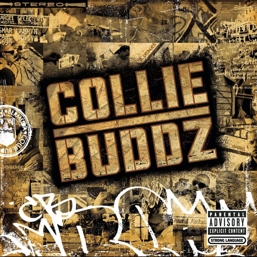 Picture of Collie Buddz