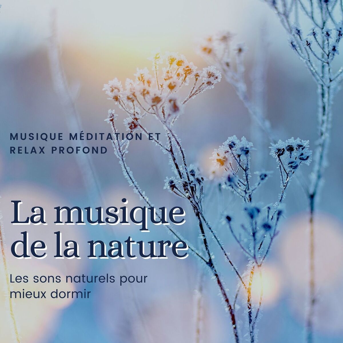 Album cover of La musique de la nature: Les sons naturels pour mieux dormir, musique méditation et relax profond