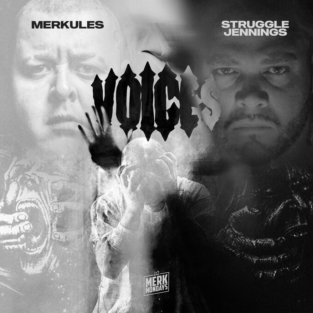 Voices cover