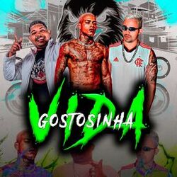 Vida Gostosinha
