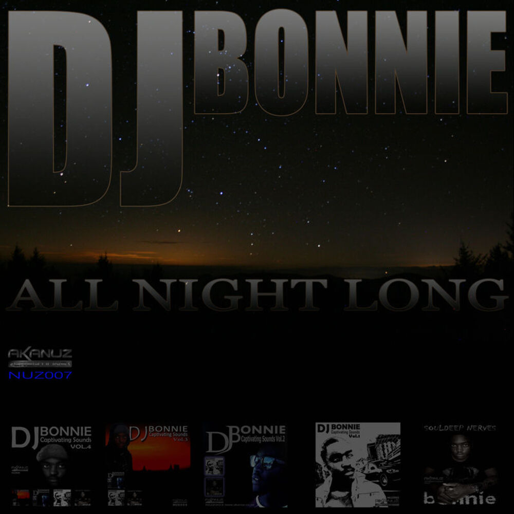 Picture of All Night Long