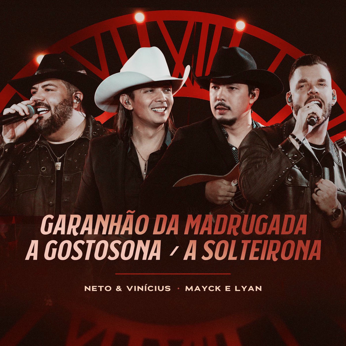 Album cover of Garanhão Da Madrugada / A Gostosona / A Solteirona (Ao Vivo)