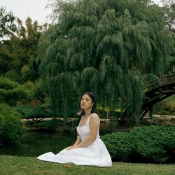 Weeping Willow