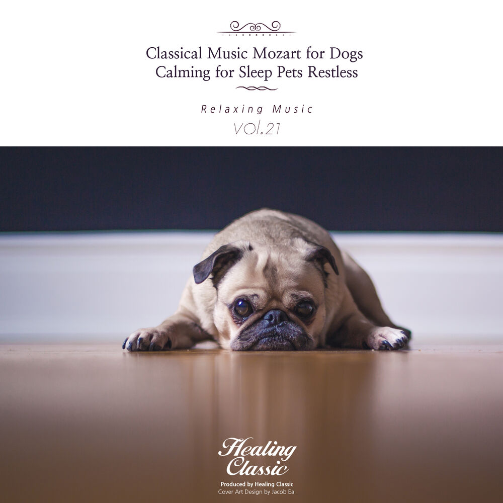 Picture of Classical Music Mozart for Dogs, Calming for Sleep Pets Restless