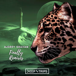 Cover of Finally Remixes