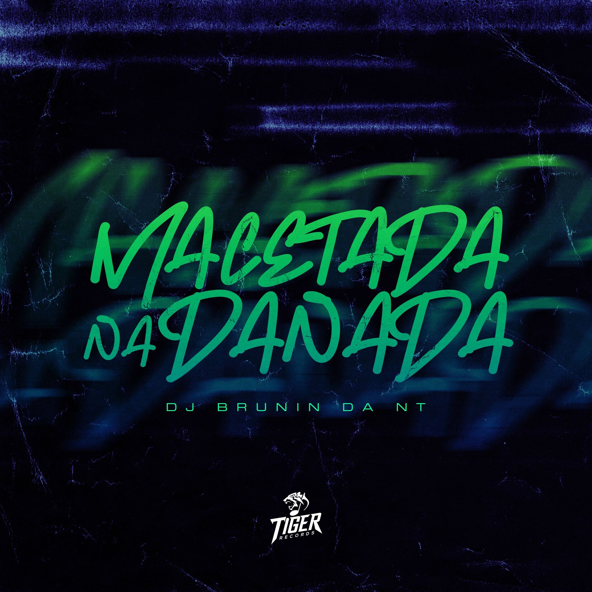 Album cover of Mc Magrinho
