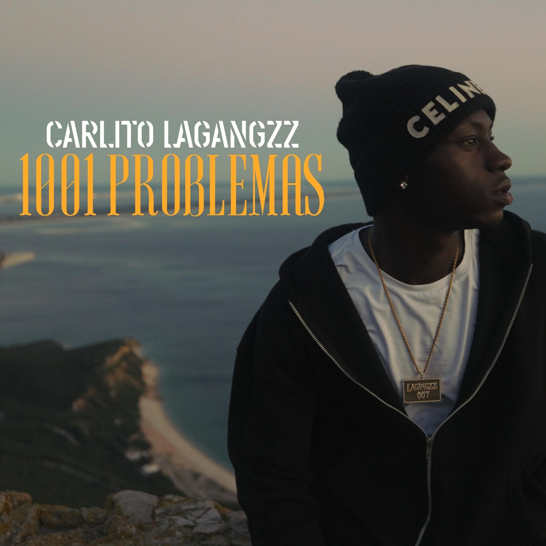 Album cover of 1001 Problemas
