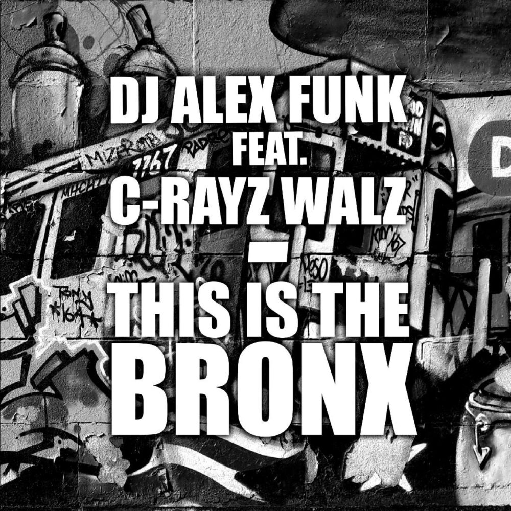 Picture of This is the Bronx