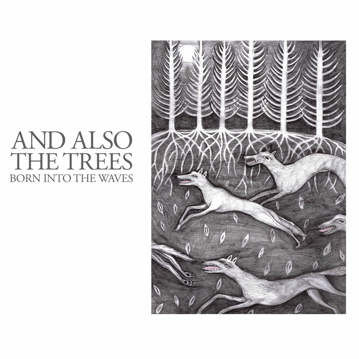 Album cover of Born into the Waves