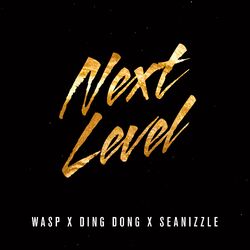Cover of Next Level (Sped Up Version)
