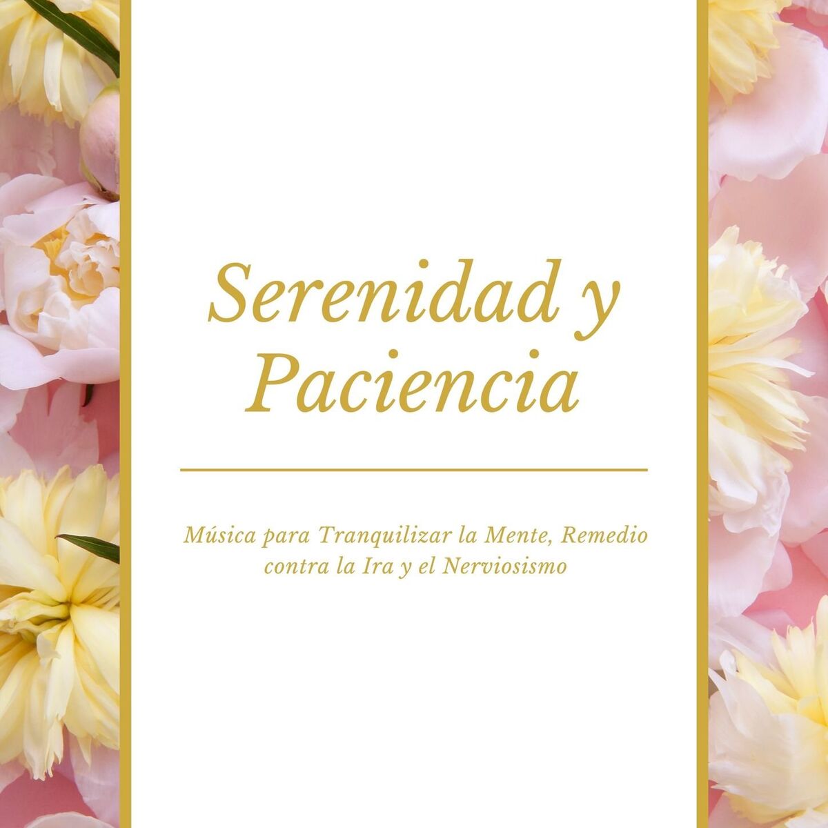 Album cover of Serenidad y Paciencia: Música para Tranquilizar la Mente, Remedio contra la Ira y el Nerviosismo
