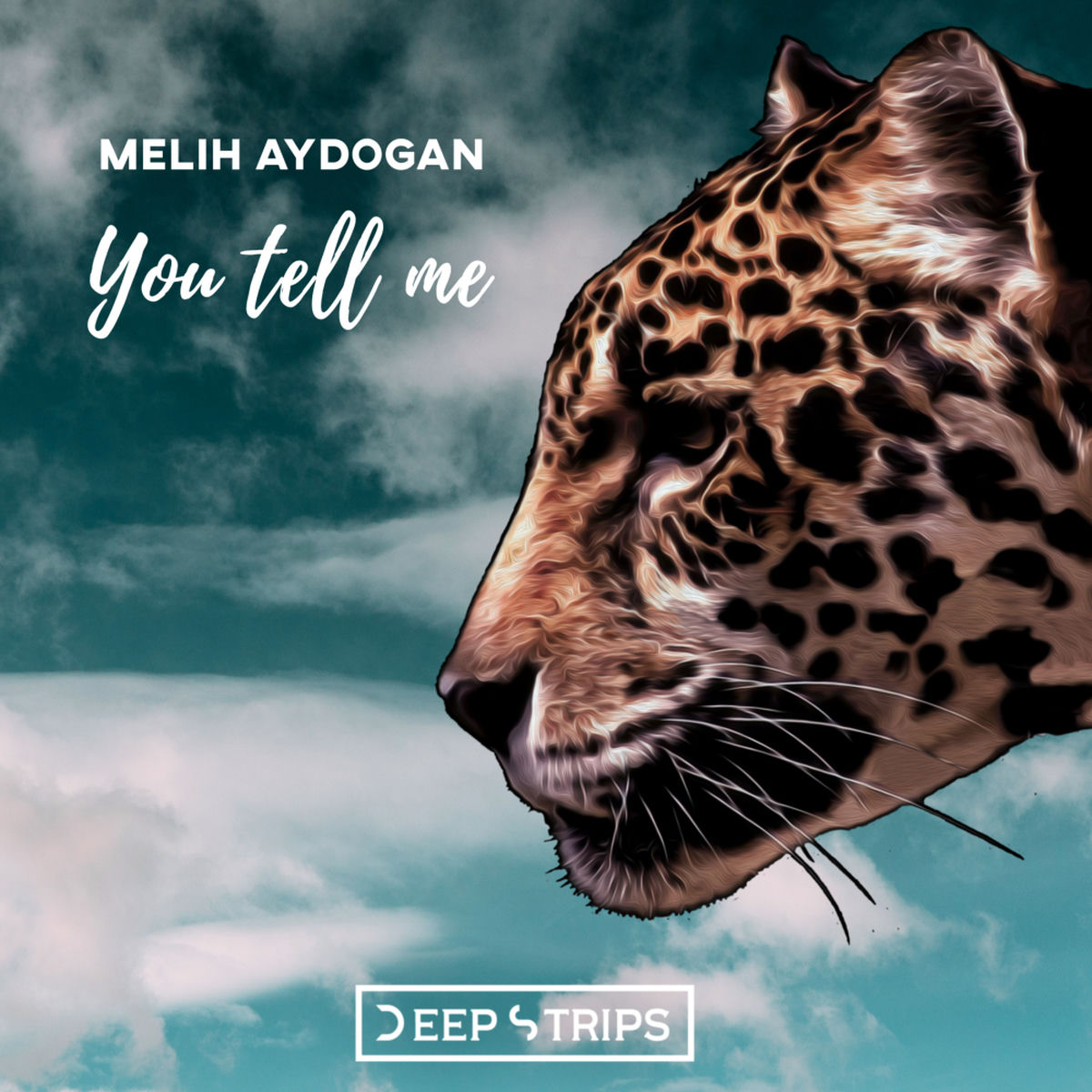Album cover of You Tell Me
