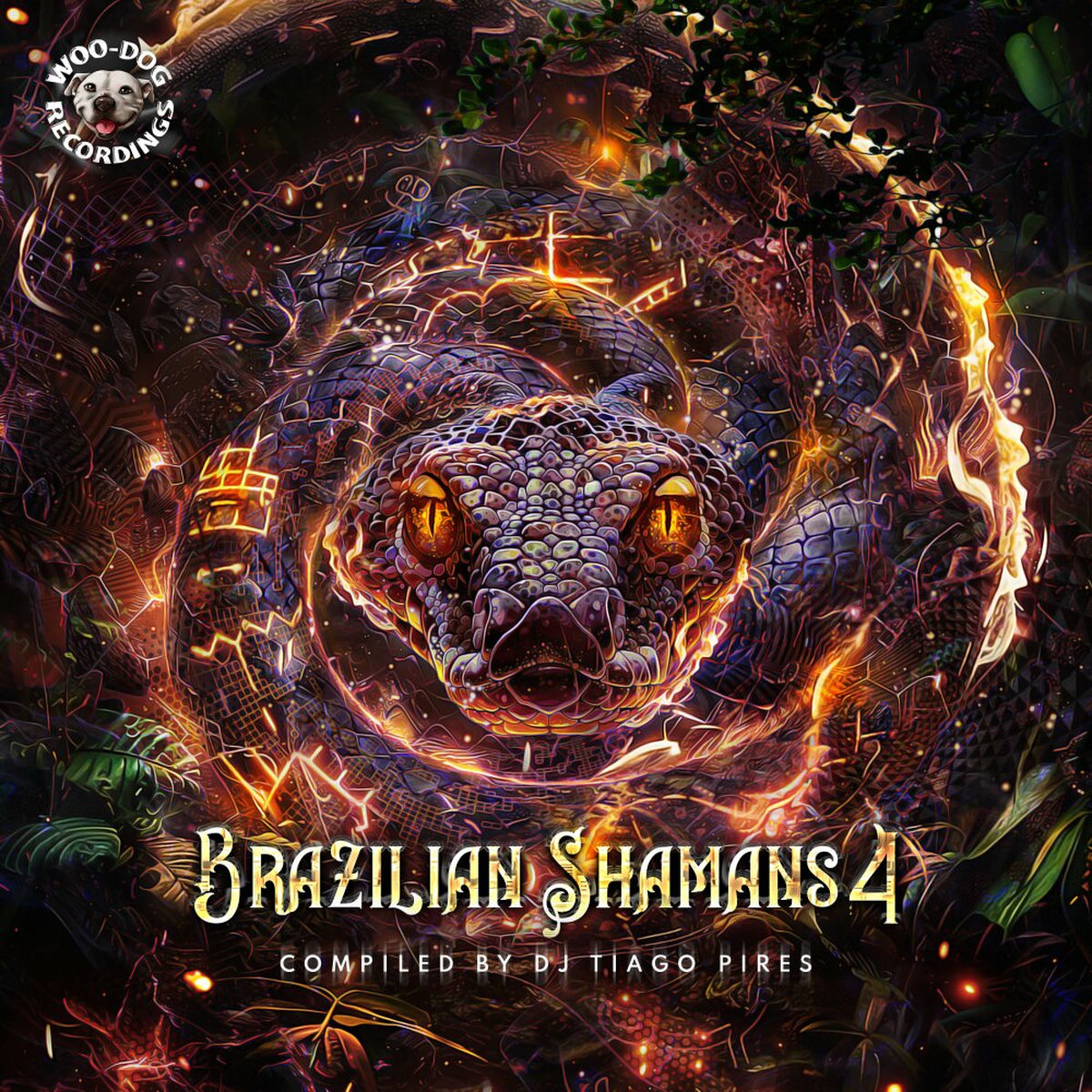 Album cover of Brazilian Shamans 4 (Compiled by Tiago Pires)