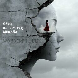 Cover of Wonderful Life