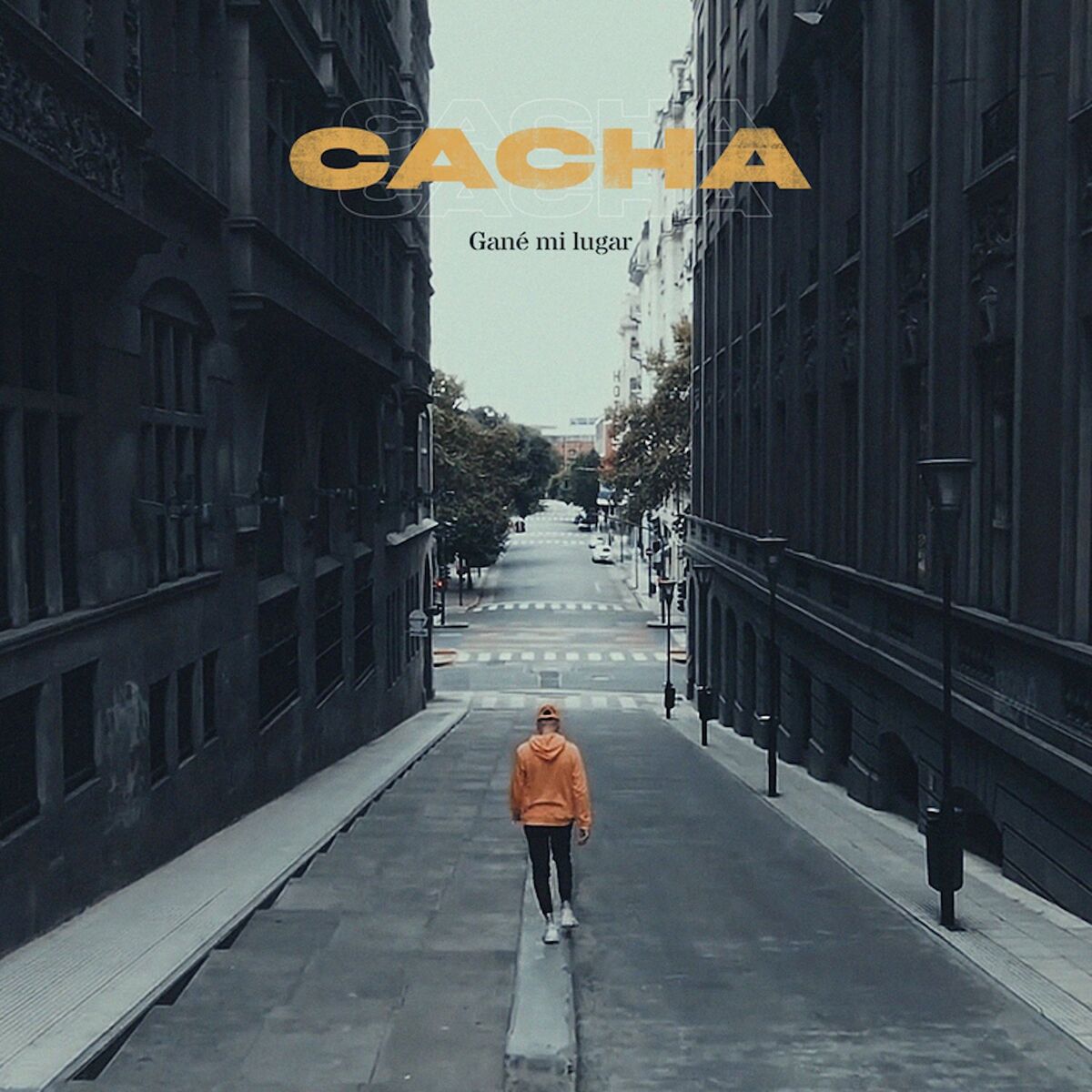 Album cover of Gané Mi Lugar