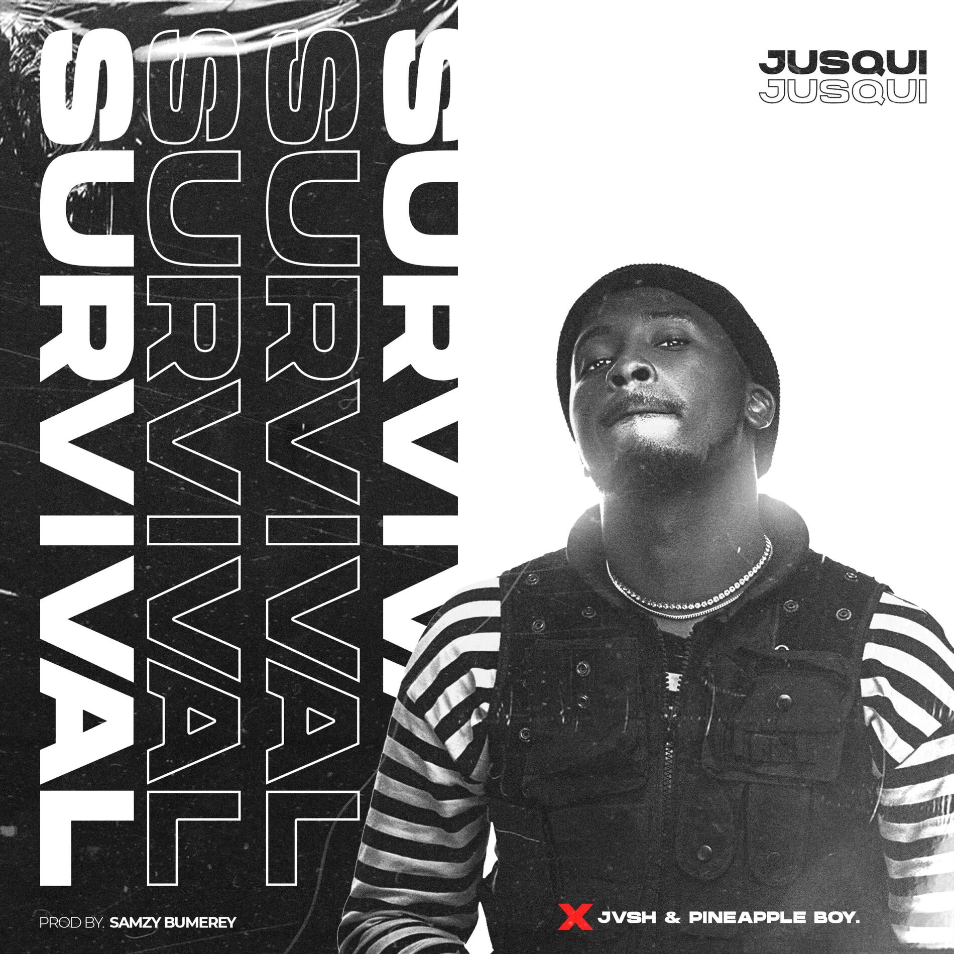 Album cover of Survival (feat. Jvsh & Pineapple Boy)