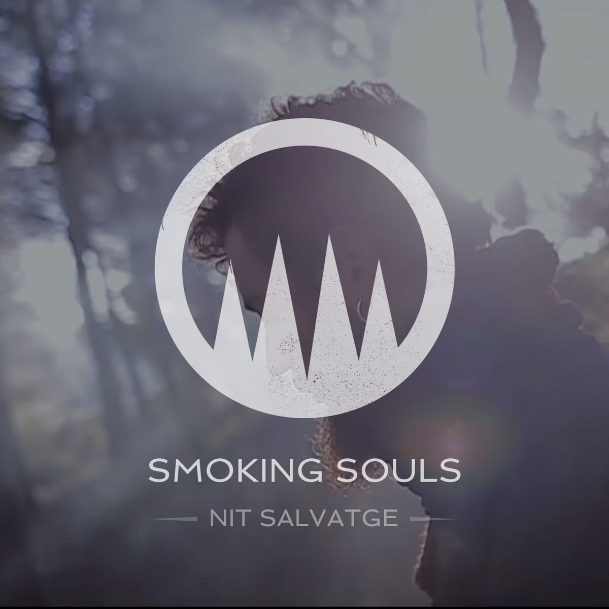 Album cover of Nit salvatge